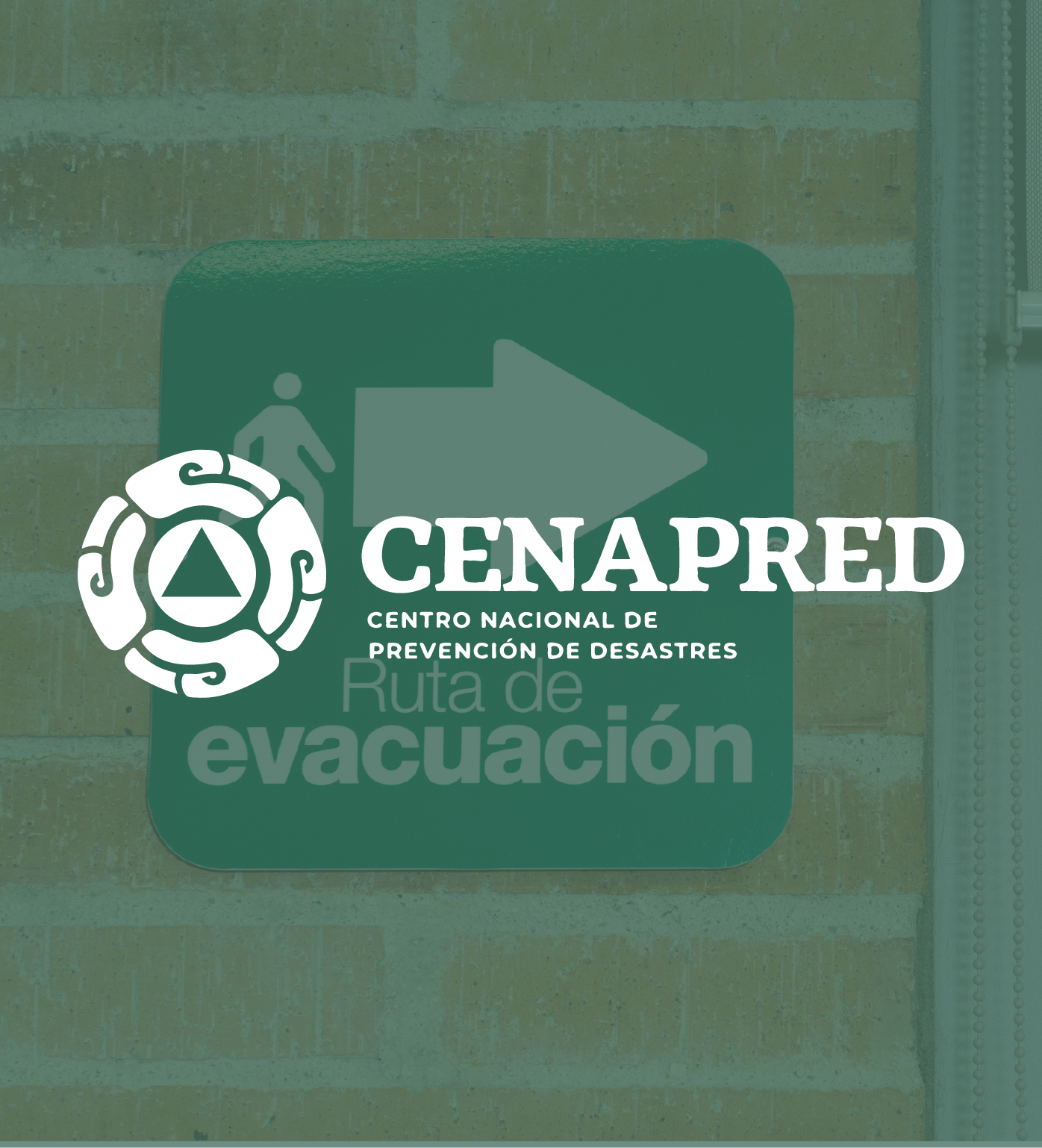Prevención de riesgos en tu escuela PDRE250111x