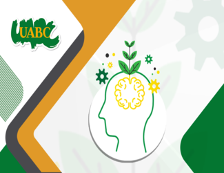 Desarrollo de Habilidades Socioemocionales DDHS25098X